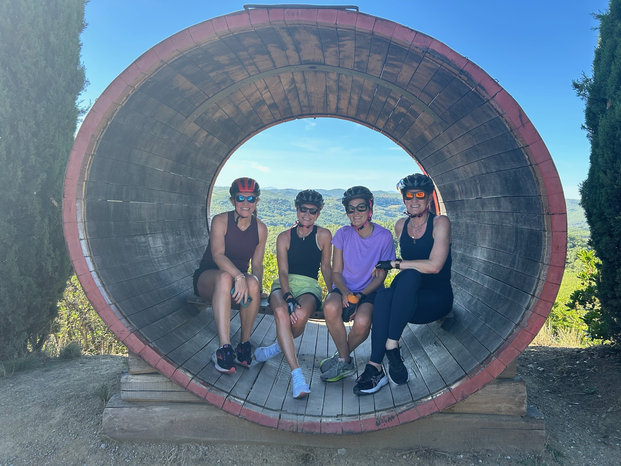 4 beautiful middle age ladies